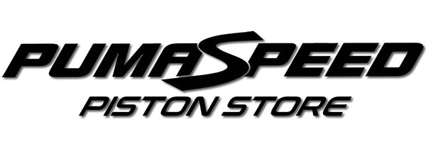 Pumaspeed Piston Store